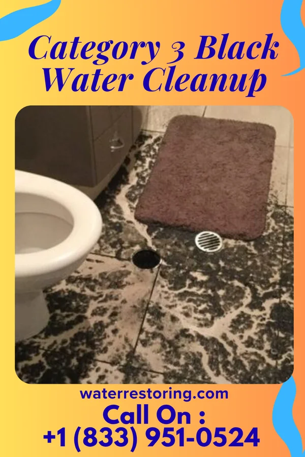 Category 3 Black Water Cleanup in Olivet, TN